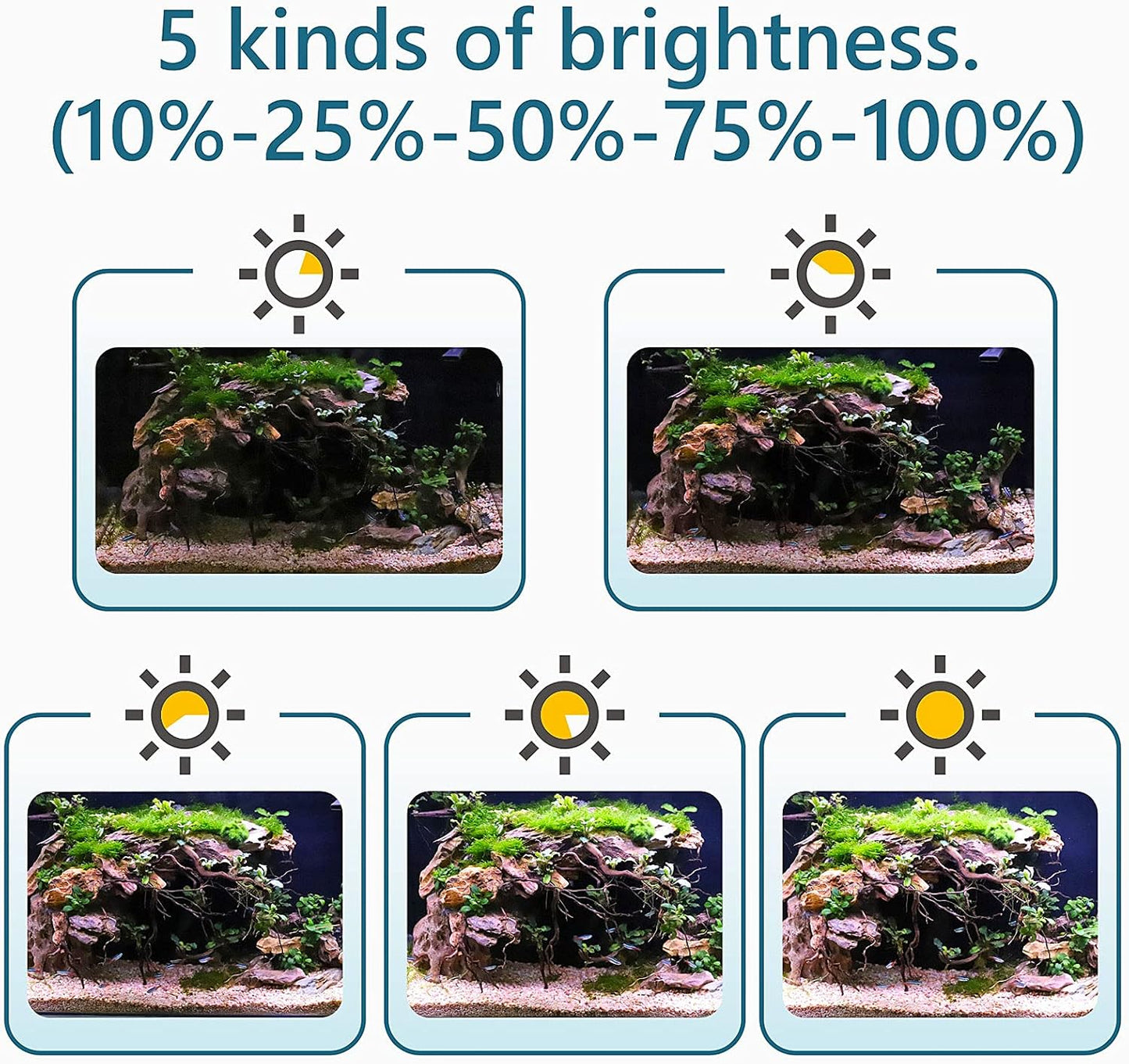Clip On 24/7 Lighting Aquarium LED Light, 14W Sunrise-Daylight-Moonlight and DIY Mode, Adjustable Timer / Brightness Fish Tank Light with 7 Colors for Planted Tank Aquatic Fit for Tank Thickness Less Than 0.9inches Life Outdoorfun