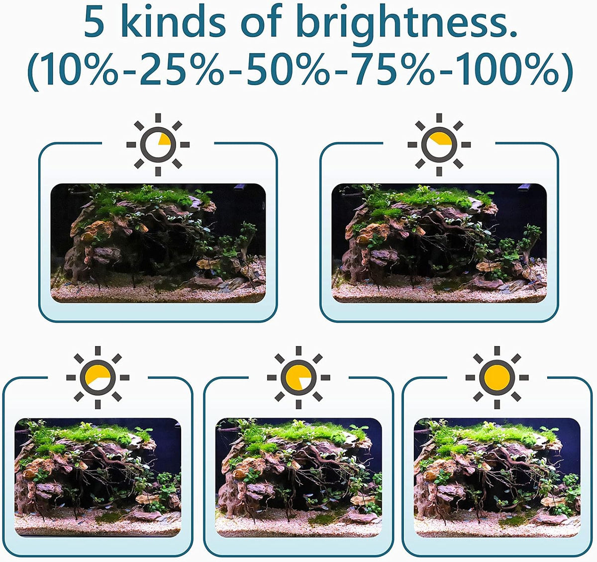 Clip On 24/7 Lighting Aquarium LED Light, 14W Sunrise-Daylight-Moonlight and DIY Mode, Adjustable Timer / Brightness Fish Tank Light with 7 Colors for Planted Tank Aquatic Fit for Tank Thickness Less Than 0.9inches Life Outdoorfun